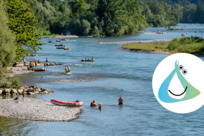 Mehr Raum für die Aare - Geführter Rundgang