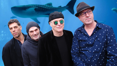 Konzert Kultur Traube: Sintflut im Aquarium - Rock-Pop-Coverband
