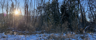 Ornithologischer Morgenspaziergang