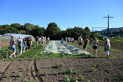 Schnuppertag Solidarische Landwirtschaft