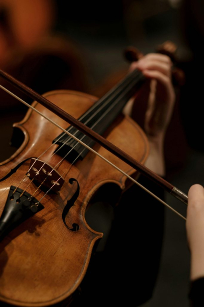 NaTierlich! – Konzert zum jungen Jahr