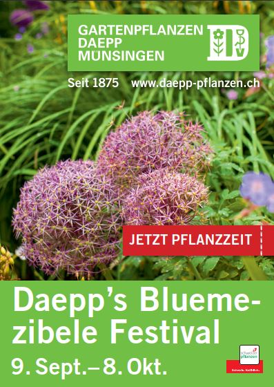 Daepp’s Bluemezibele Festival