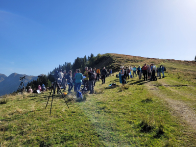 Vogelzug mit dem NVVM erleben