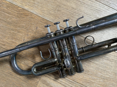 Musizierstunde Trompete, Cornet & Alphorn Klasse von Dominik Ziörjen