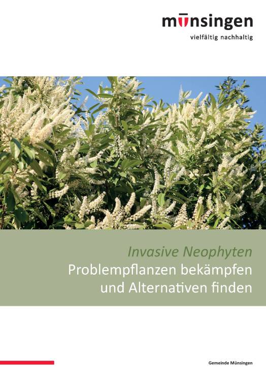  Broschüre zur Bekämpfung von Neophyten und Problempflanzen