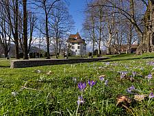 Schlossallee im Frühling 