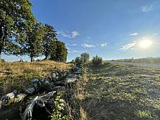 Natur in Münsingen, Schwarzbach