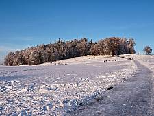 Schlittelweg Tägerishalden oberhalb Münsingen