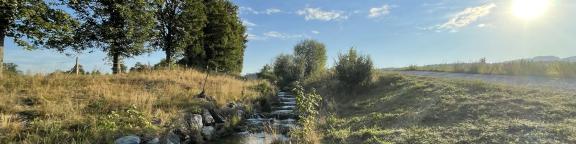 Wasser als Symbolbild für Soziale Sicherheit