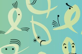 MSM Inserat Hintergrund 1010.indd